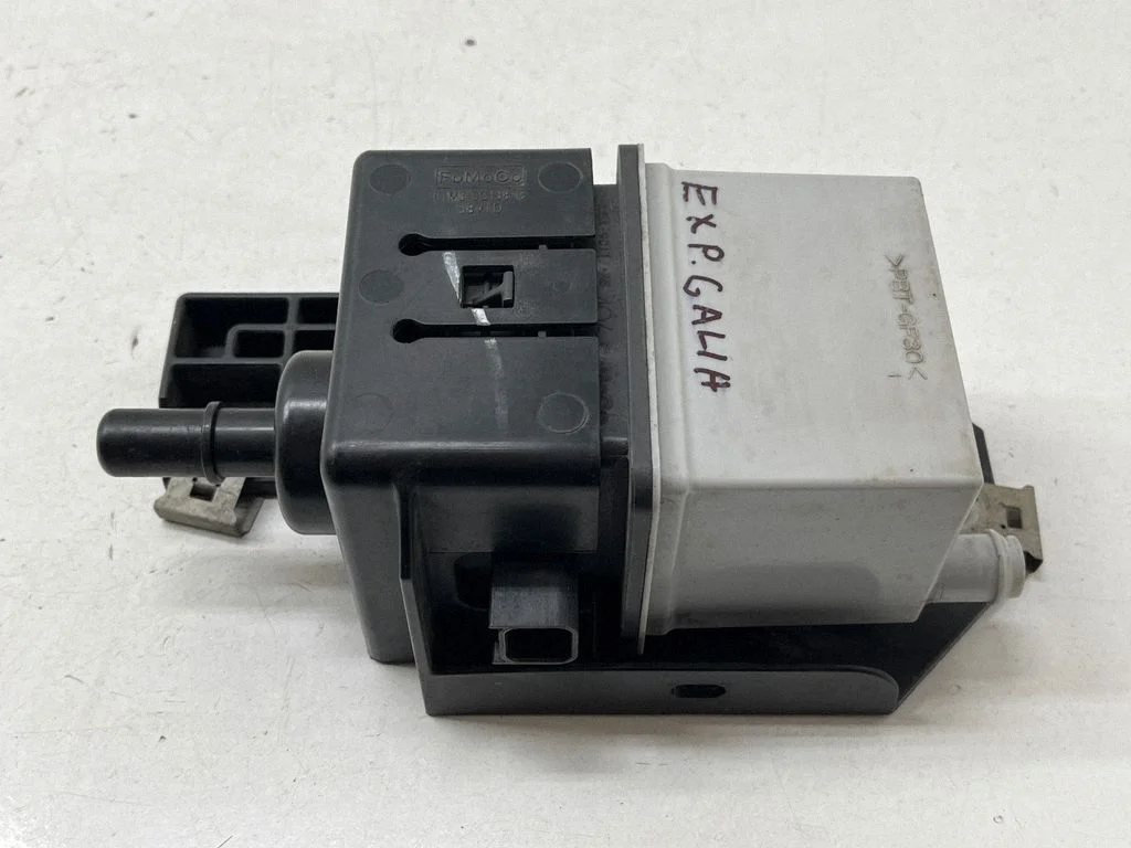 Aktiivsöe (kütuseaurude) filter – Ford Explorer VI (2019-)