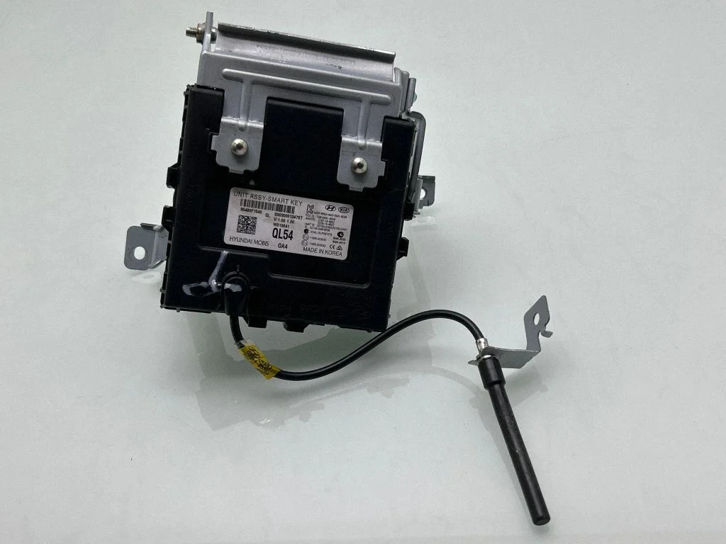 Võtmeta süsteemi KESSY (keyless) juhtplokk/moodul 95480F1540