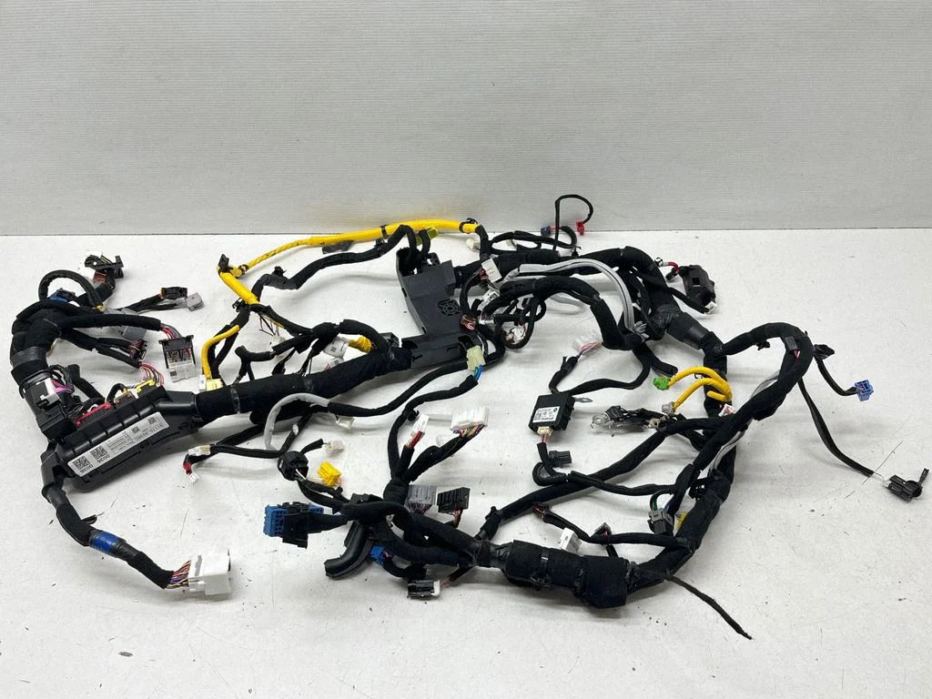 Panel wiring – KIA Niro (2022-)