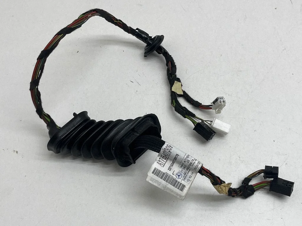 Front door wiring loom A1765401309