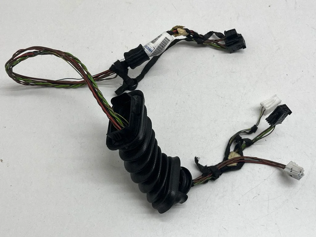 Front door wiring loom A1765401209