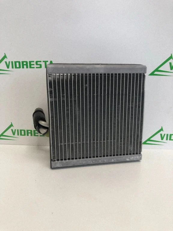 Krāsniņas radiators