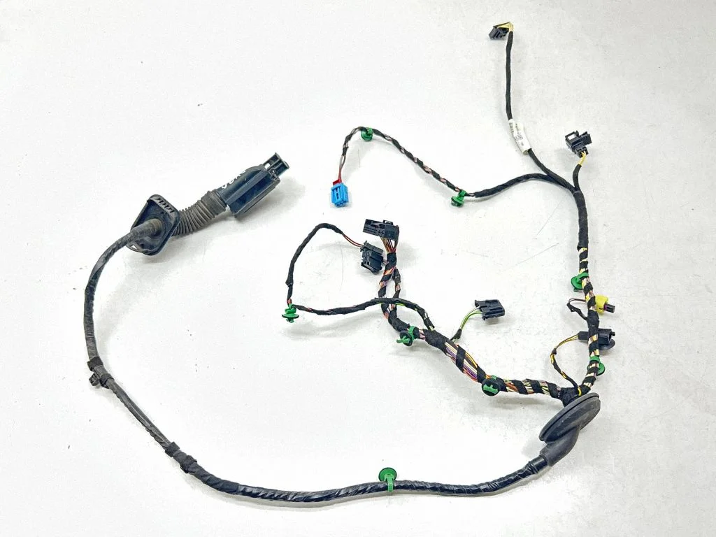 Front door wiring loom 3G1971120P