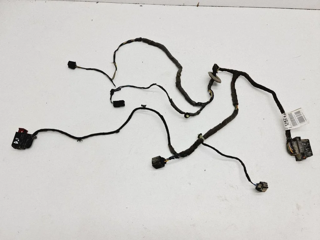 Front door wiring loom 13362957