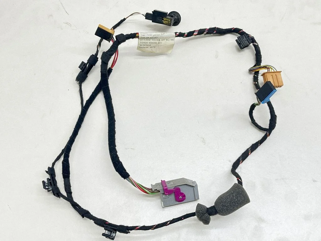 Front door wiring loom 2K5971557A