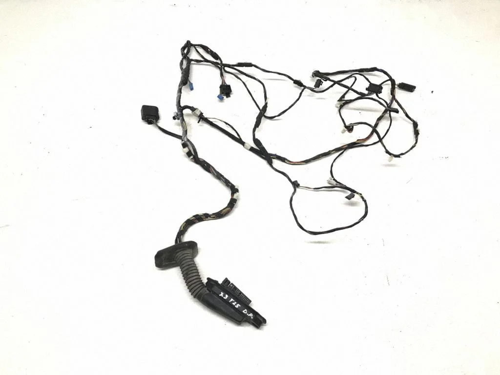 Front door wiring loom 9243646
