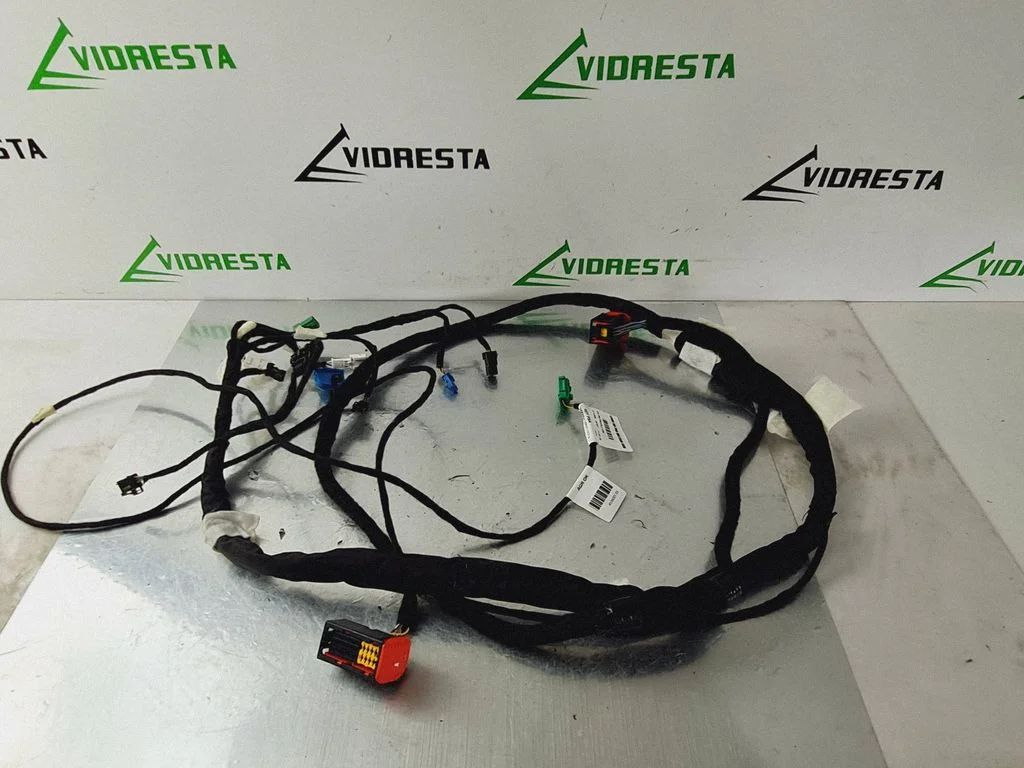Priekšējo durvju vadu instalācija 9829552280