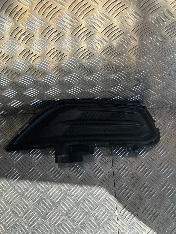 Front fog light trim/grill DS7319952AB