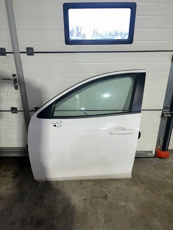 Front door D09L59010