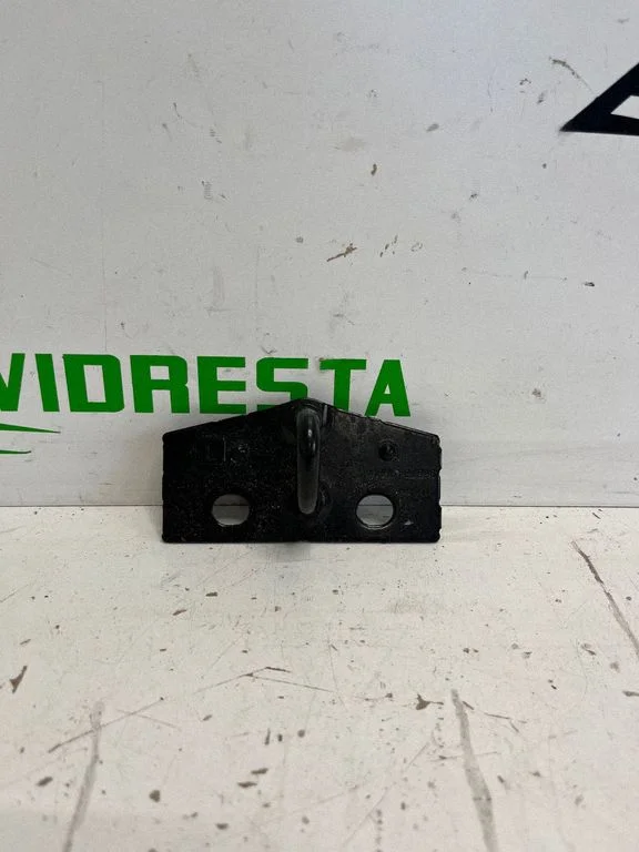 Loading door lock loop/hook striker 9687346880