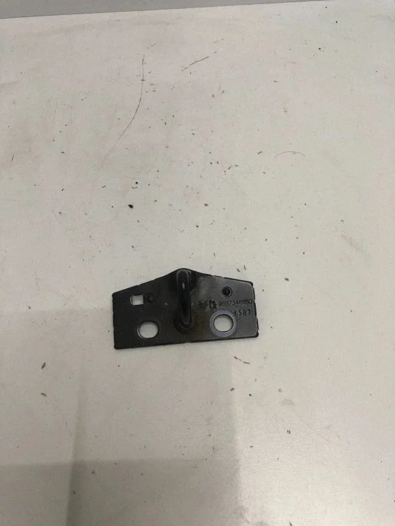 Loading door lock loop/hook striker 9687346880