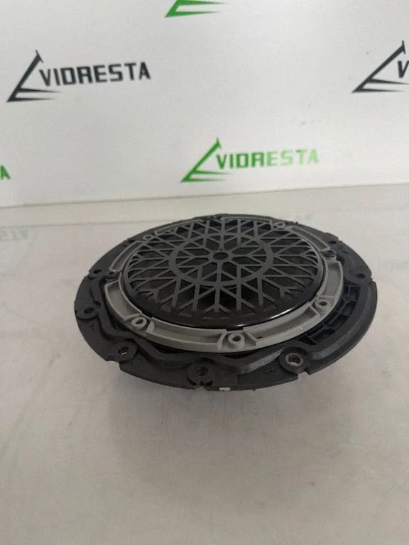Front door high frequency speaker