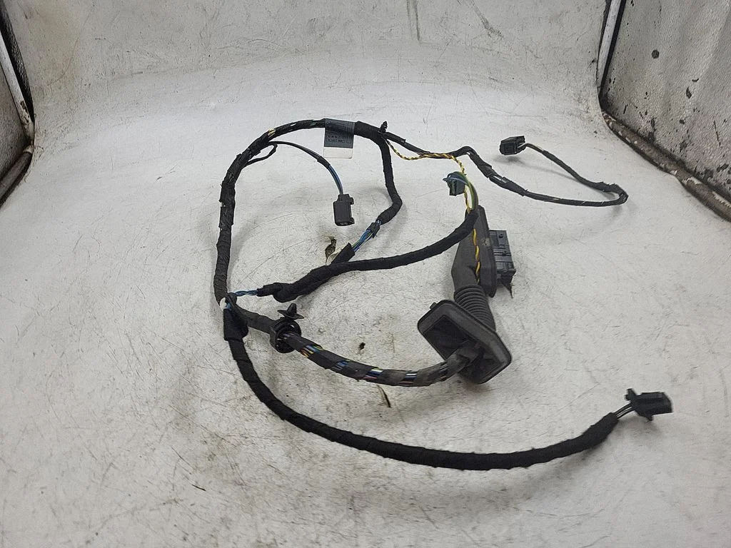 Front door wiring loom 13318810