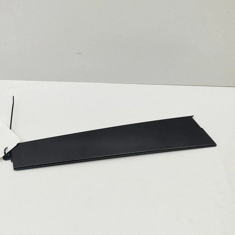 Front door glass trim molding 10907161