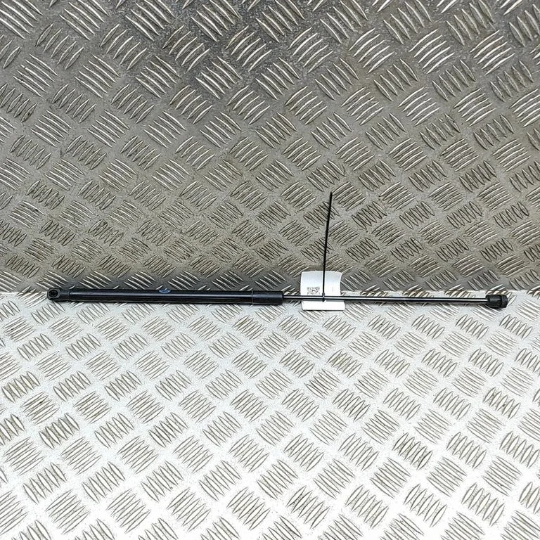 Tailgate/trunk strut/damper BJ32406A10AB