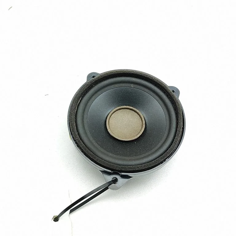 Panel speaker GX7318808EA