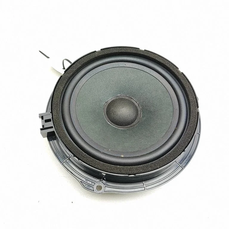 Rear door speaker JJ3218808BA
