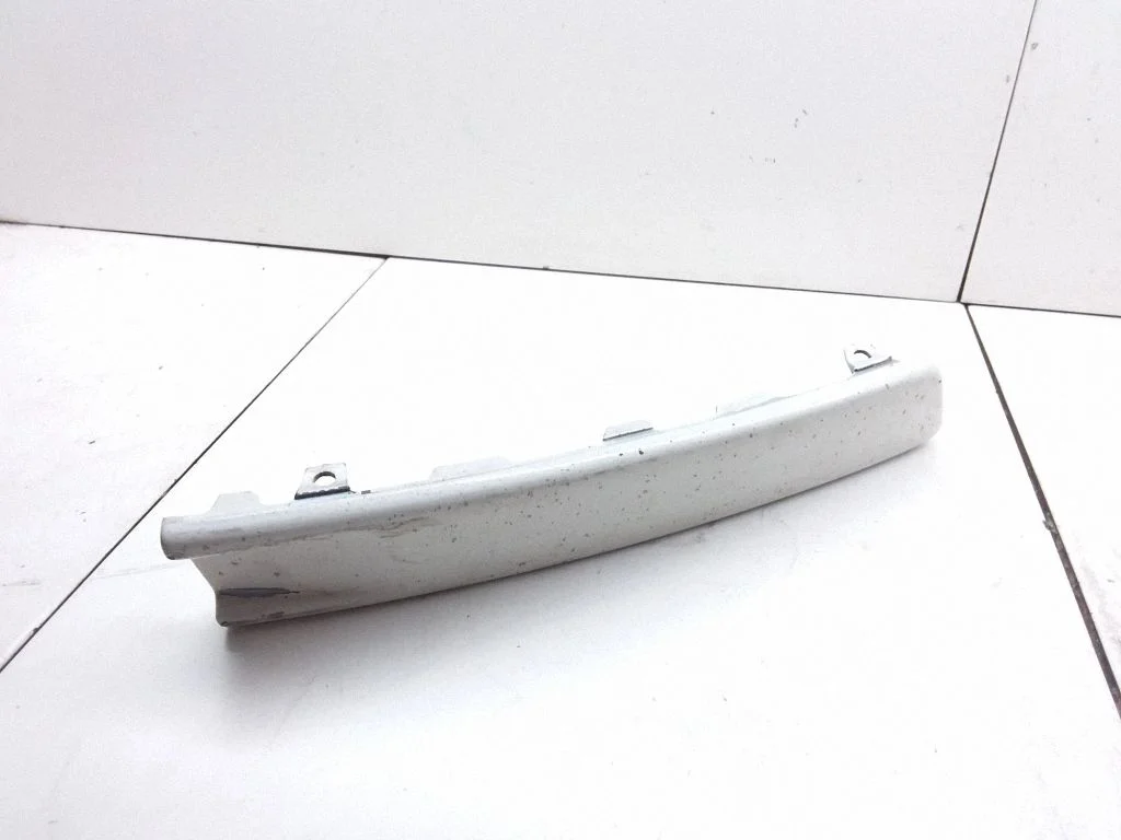 Priekšējā bampera apdares josla – Volkswagen Passat B6 (2005-2010)