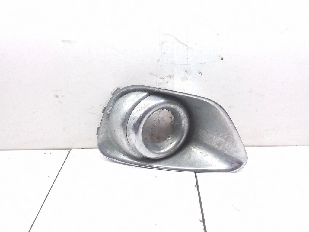 Front fog light trim/grill 11MK49J1251M