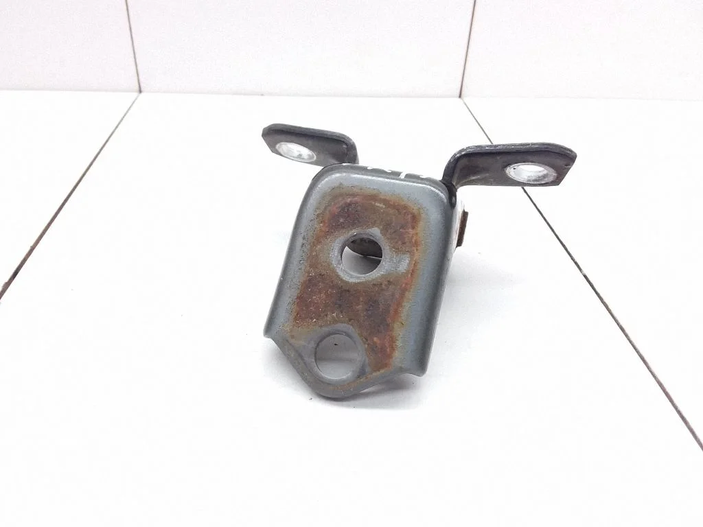 Front door lower hinge – front left