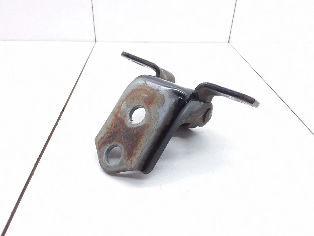 Front door lower hinge – front left