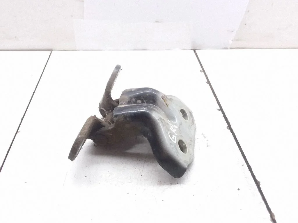 Rear door lower hinge – left