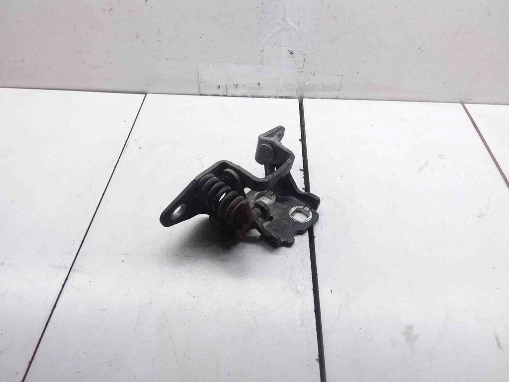 Rear door lower hinge 712AHR