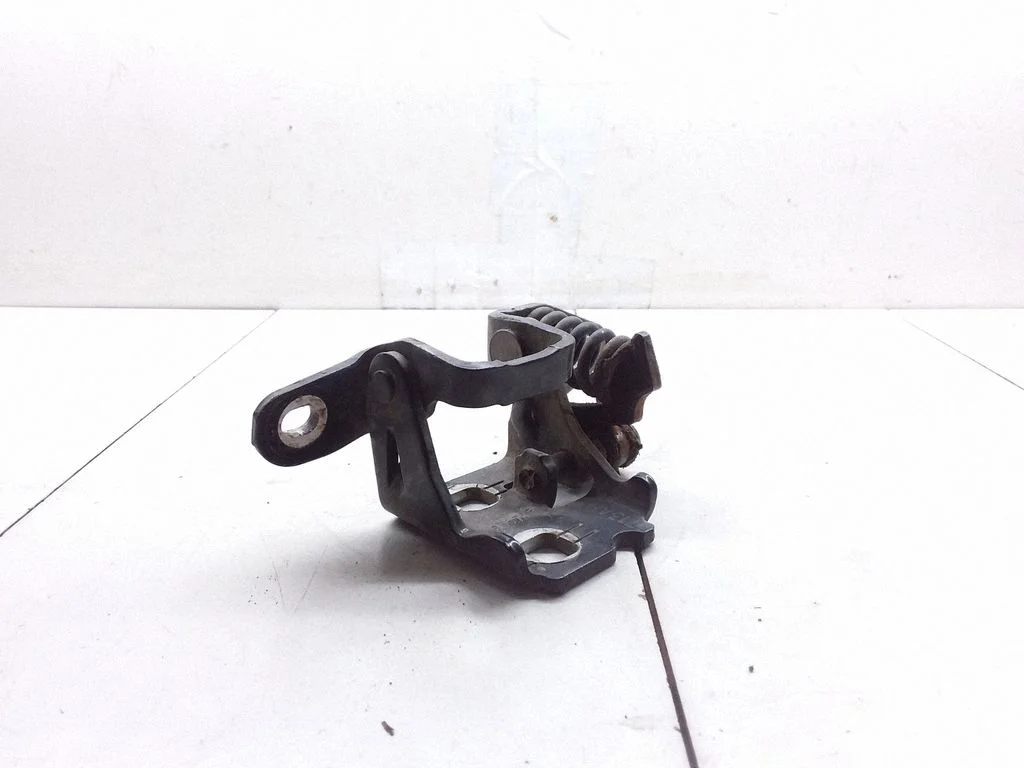 Rear door lower hinge 85574F