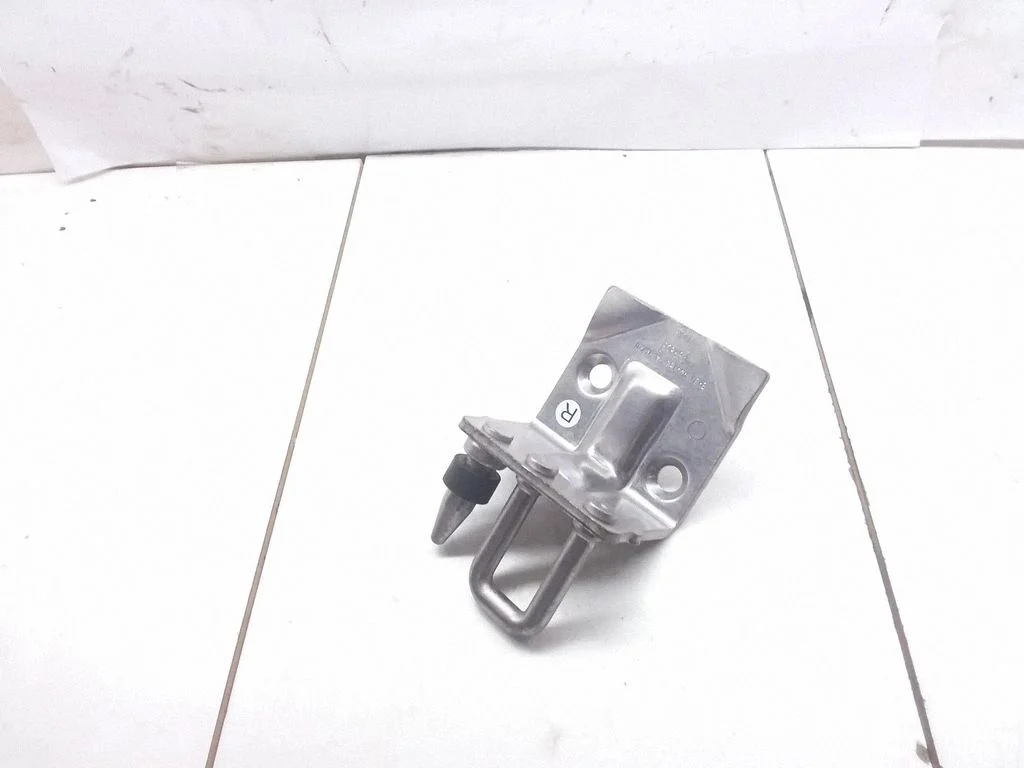 Loading door lock loop/hook striker BK31V44162BA