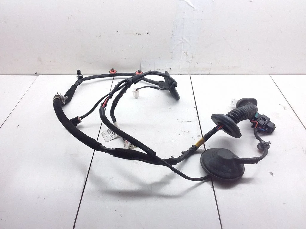 Rear door wiring loom 919803K040