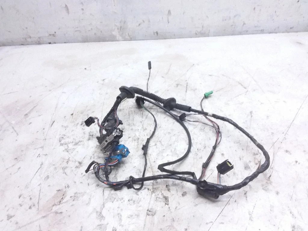 Rear door wiring loom – left