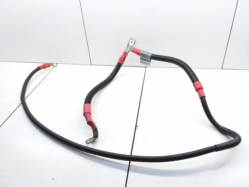 Positive wiring loom 7794910