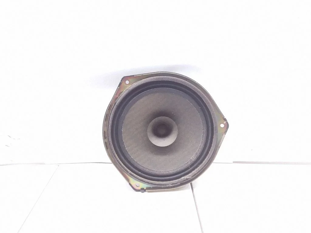 Skaļrunis (-ņi) aizmugurējās durvīs B02T66960