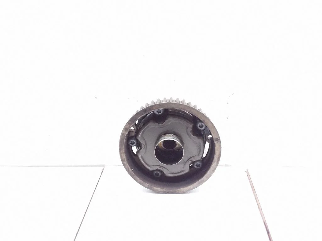 Sadales vārpstas skriemelis/ VANOS – Opel Insignia A (2008-2017)