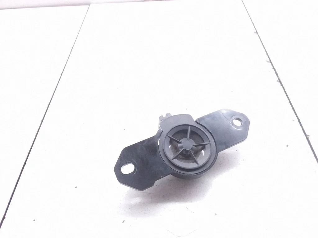 Front door high frequency speaker 281E1EB70A