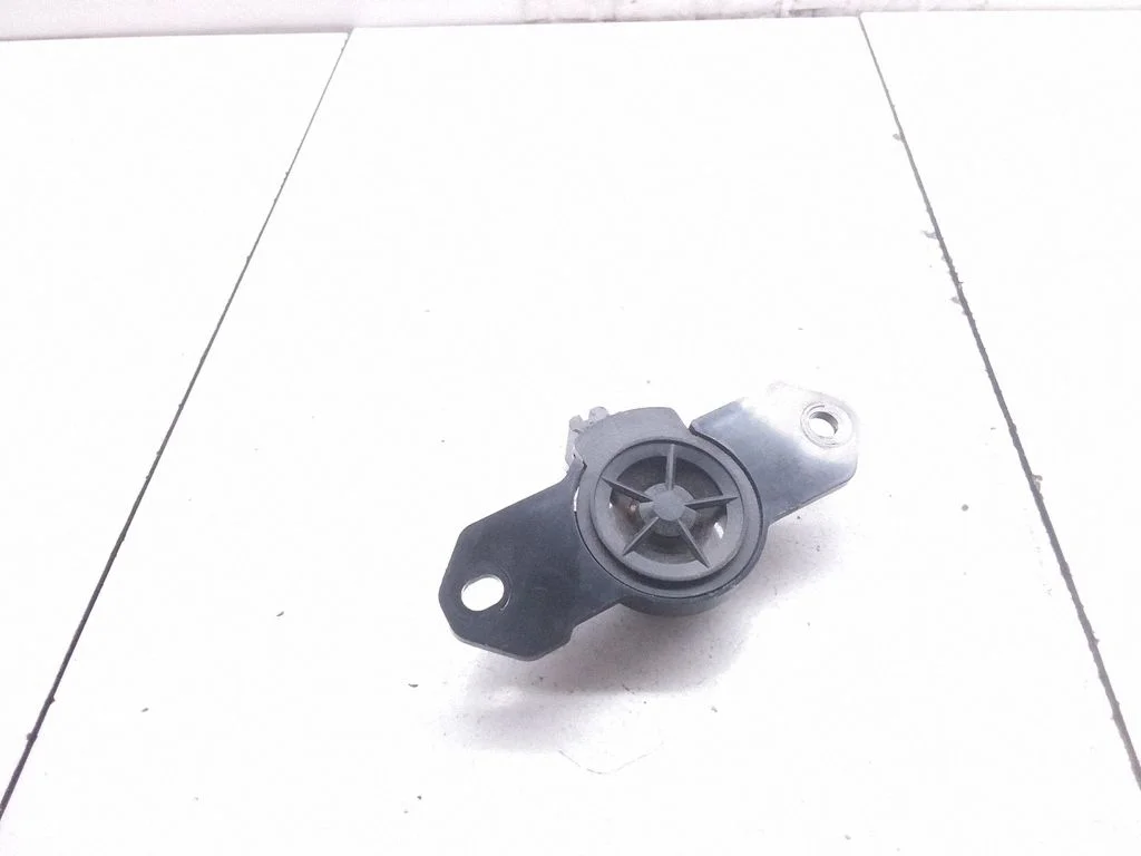 Front door high frequency speaker 281E1EB70A