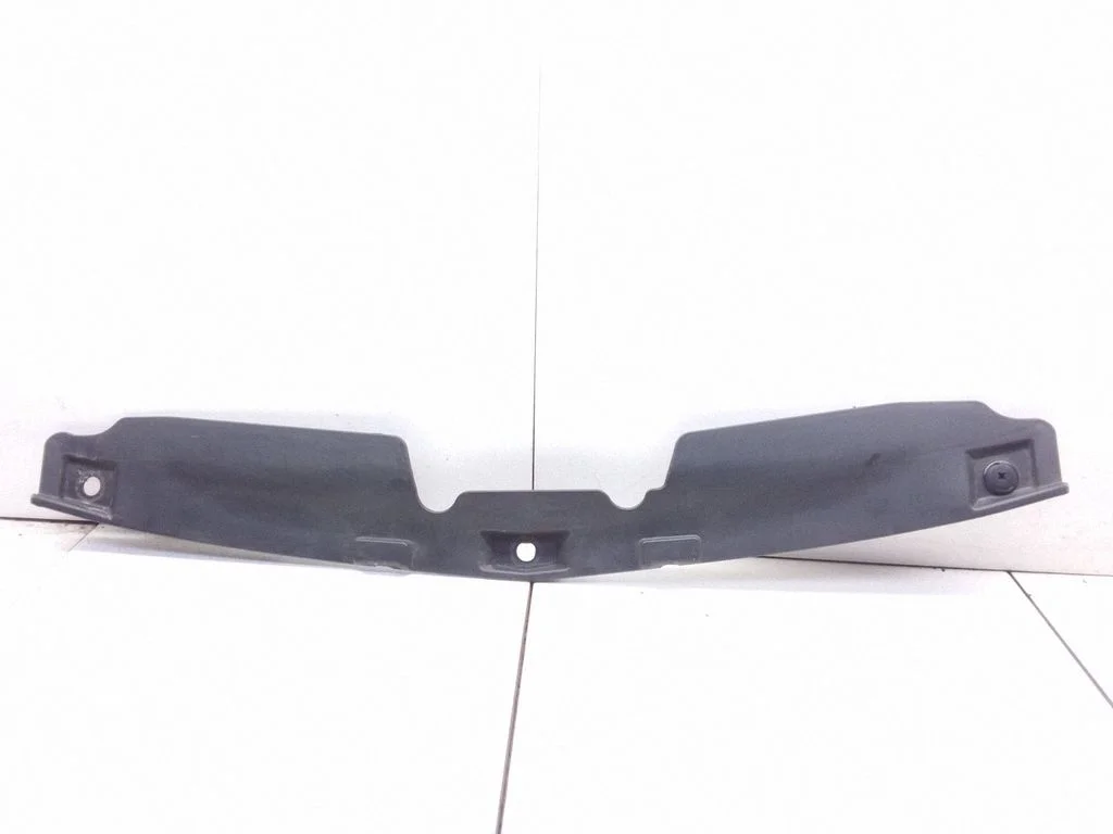 Radiator trim 96800768