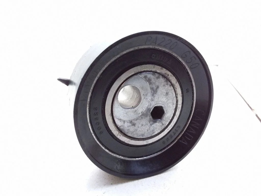 Jaotusrihma/-keti pinguti 6006RS