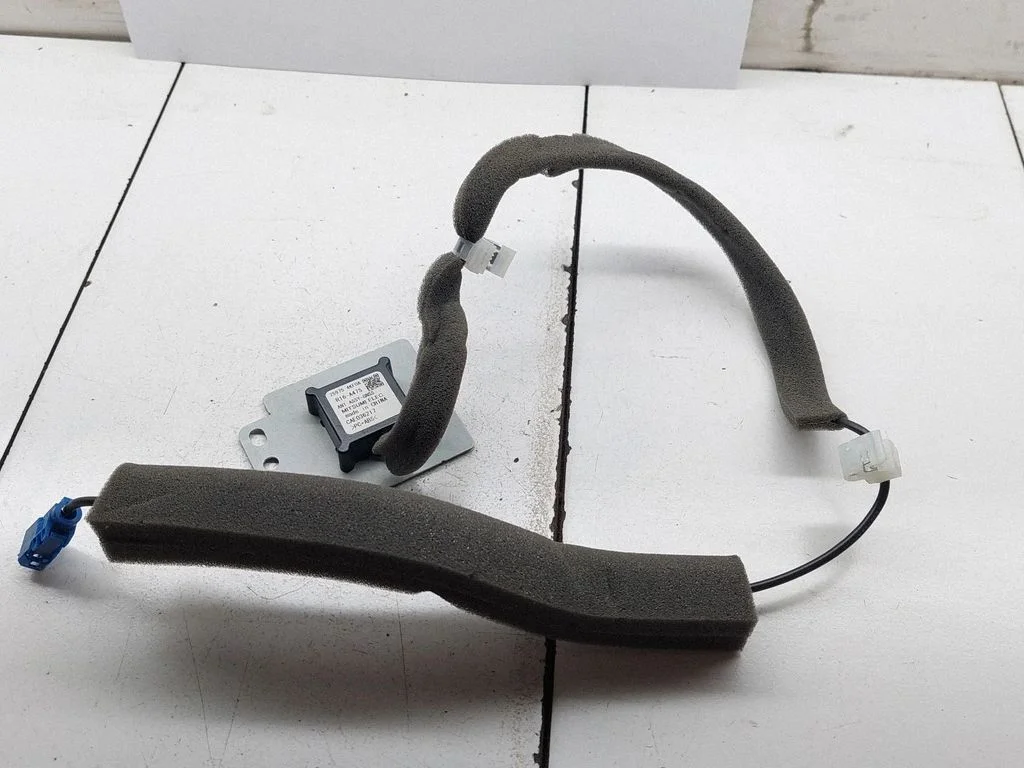 Antena (GPS antena) 259754KF0A