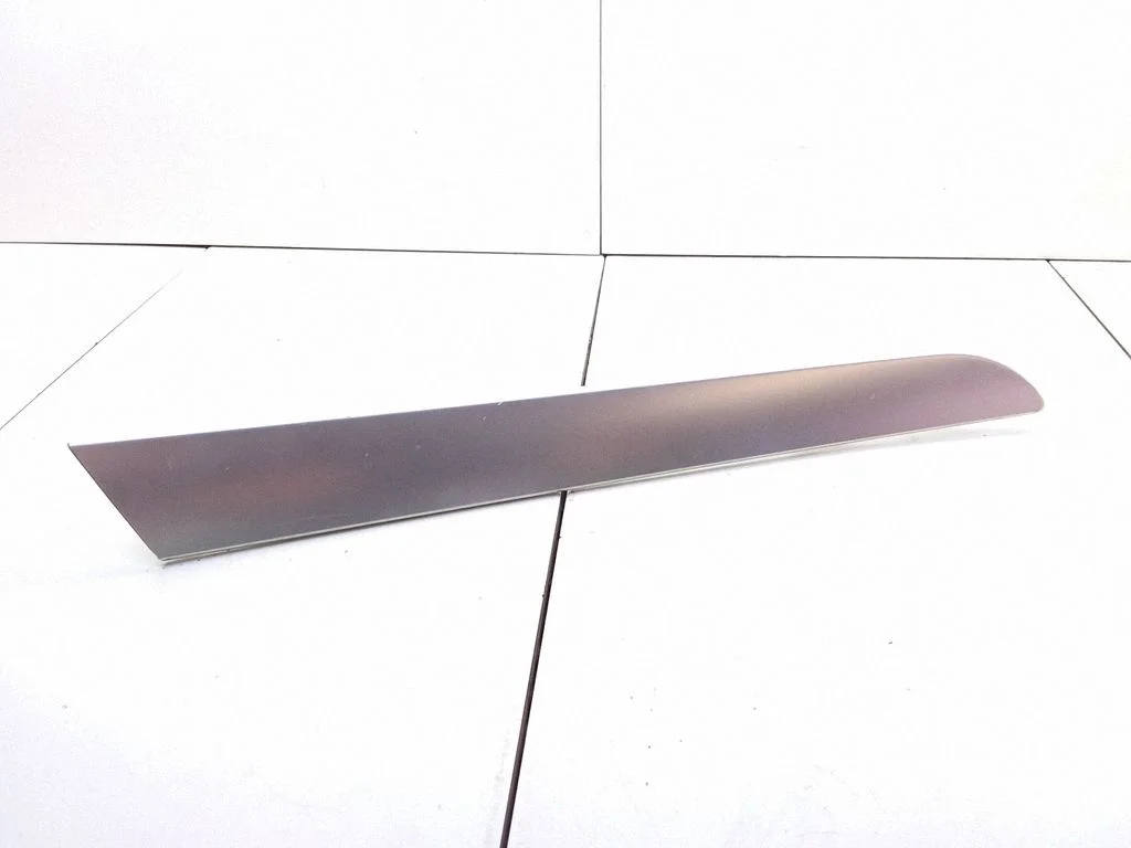 Rear door card trim – Audi A6 Allroad C6 (2006-2011)