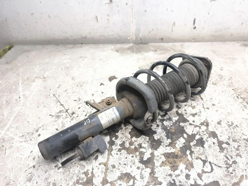 Front shock absorber with coil spring 313655