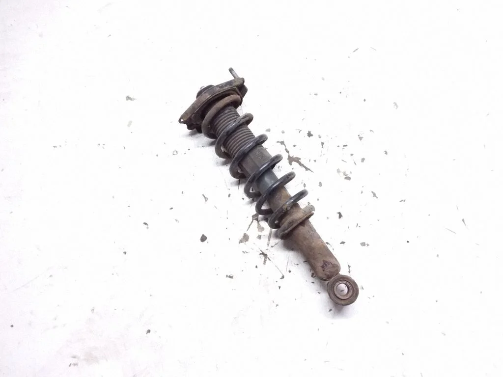 Rear shock absorber with coil spring