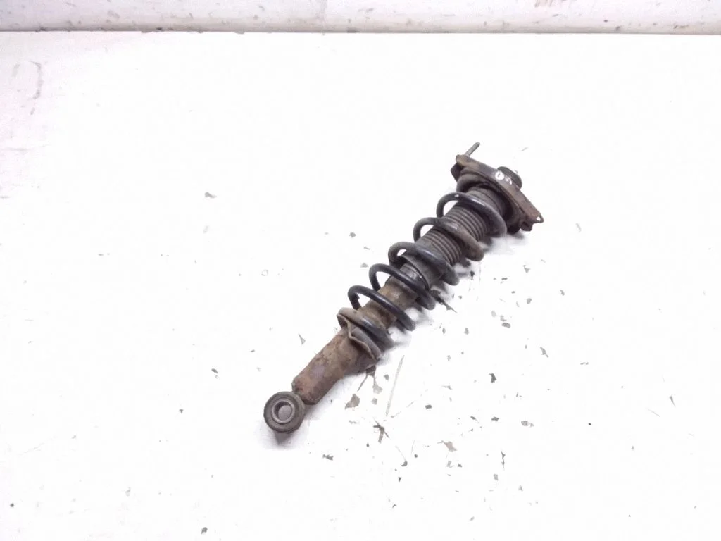 Rear shock absorber with coil spring