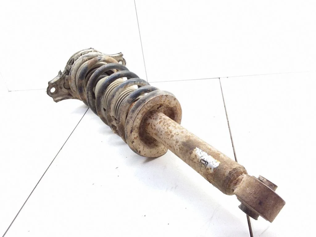 Rear shock absorber with coil spring