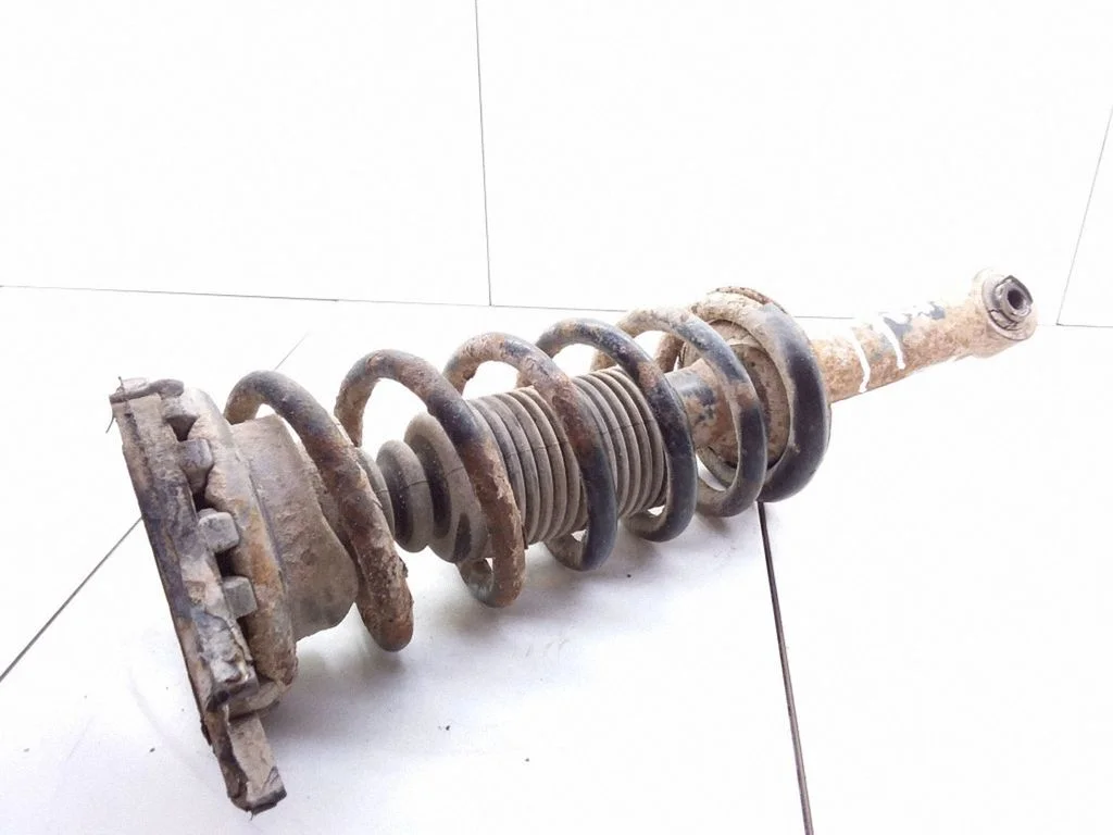 Rear shock absorber with coil spring