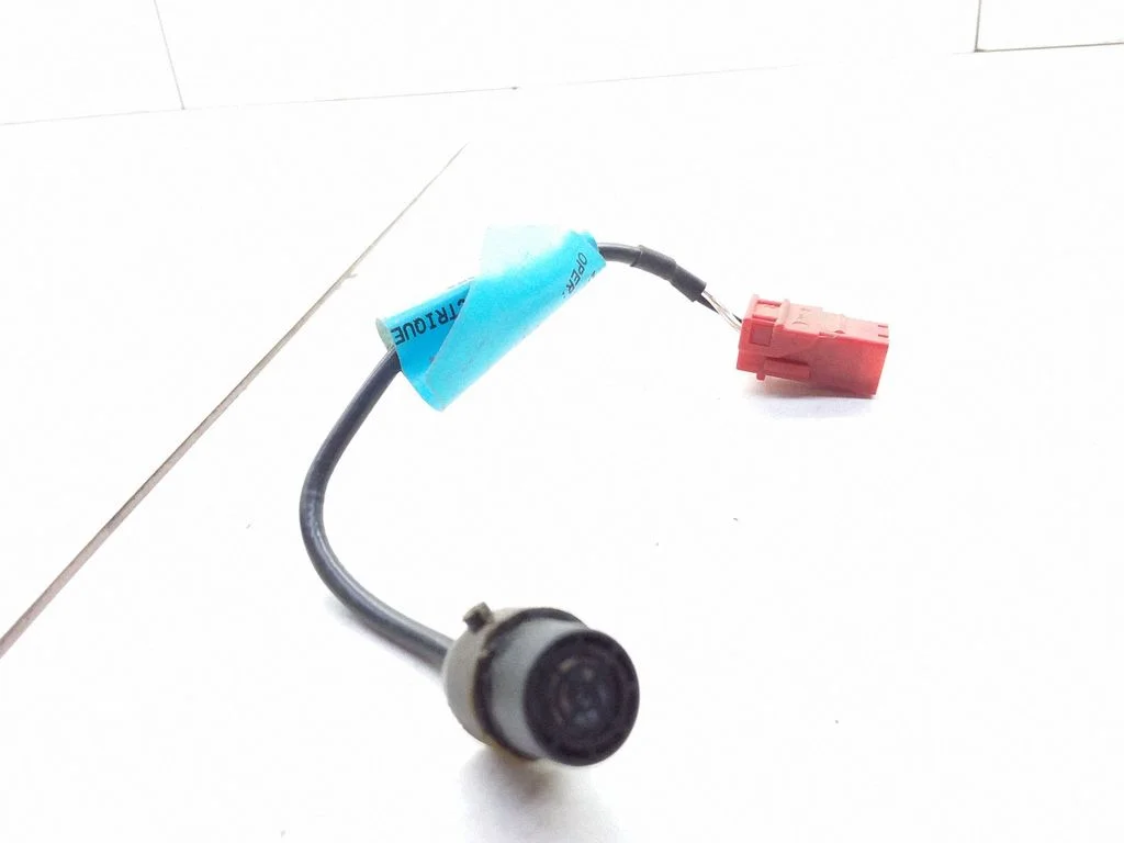 Alarm movement detector/sensor