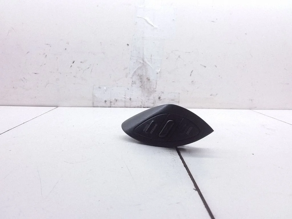 Steering wheel buttons/switches 4685544