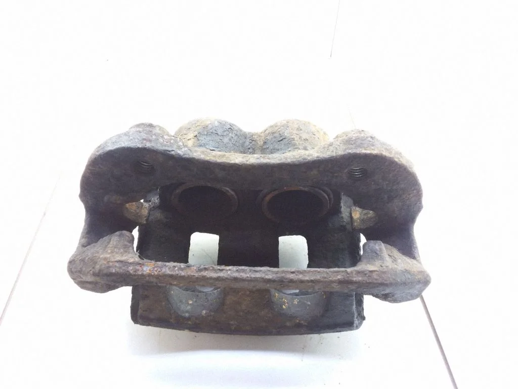 Esimene pidurisadul