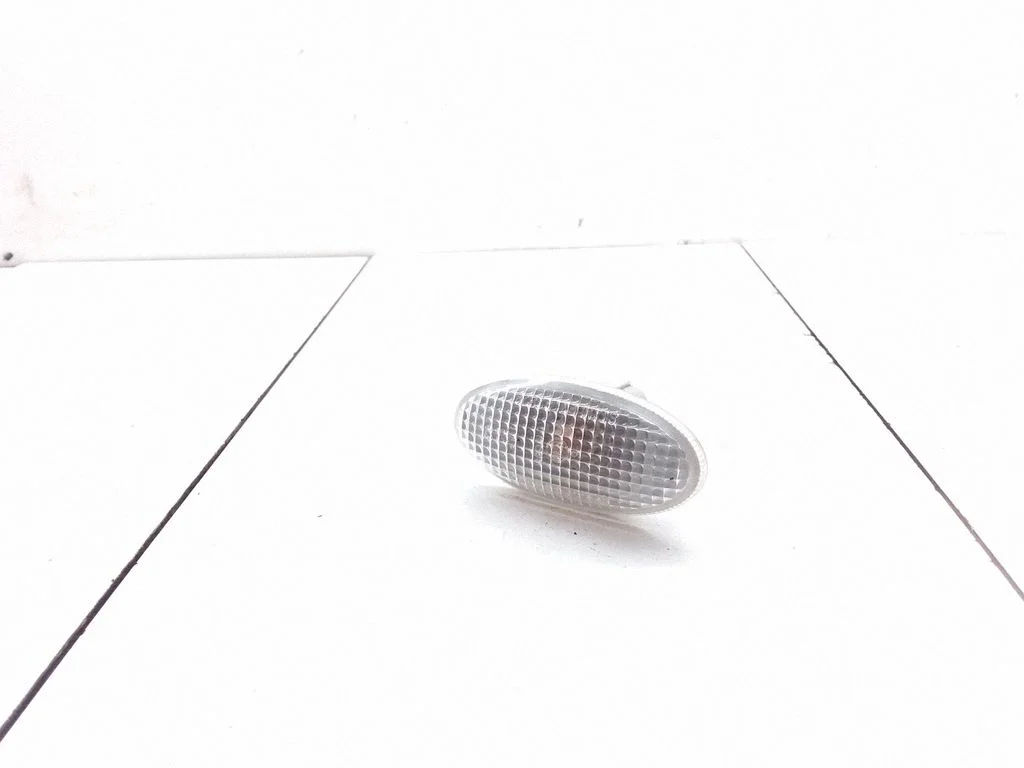 Front fender indicator light P2829
