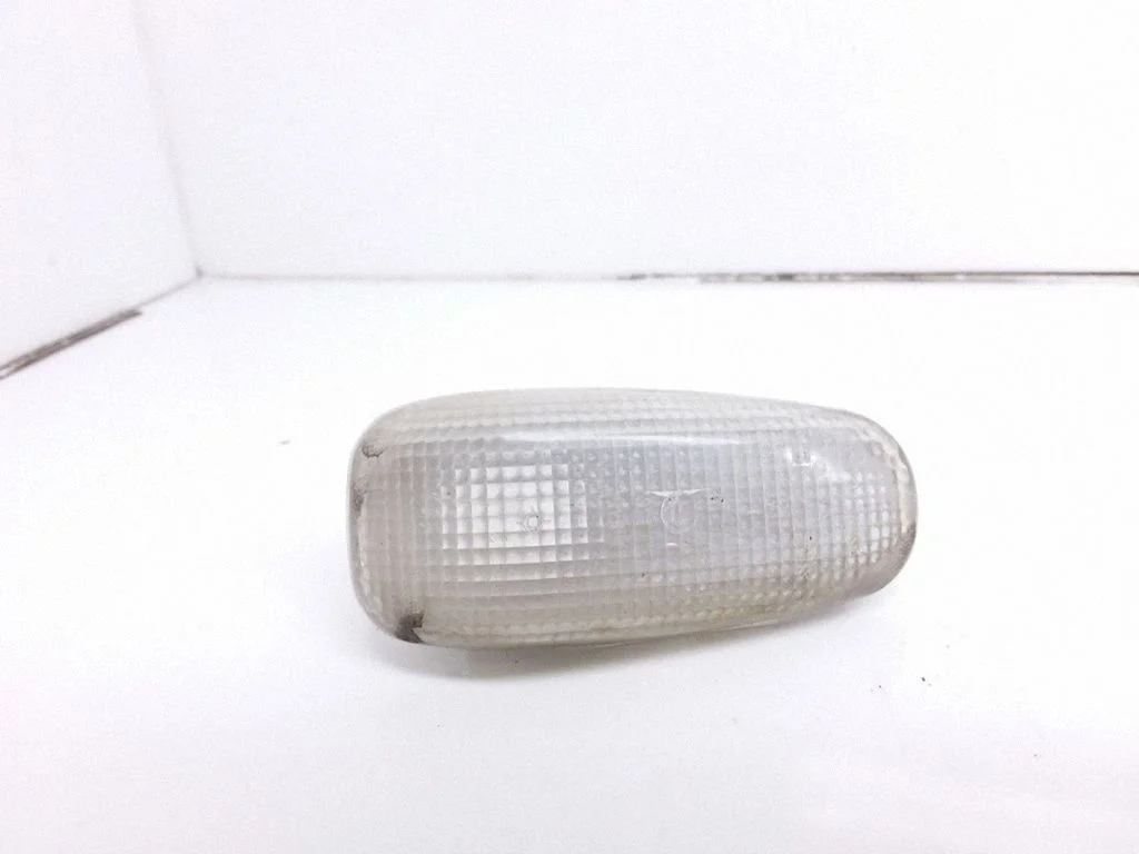 Front fender indicator light